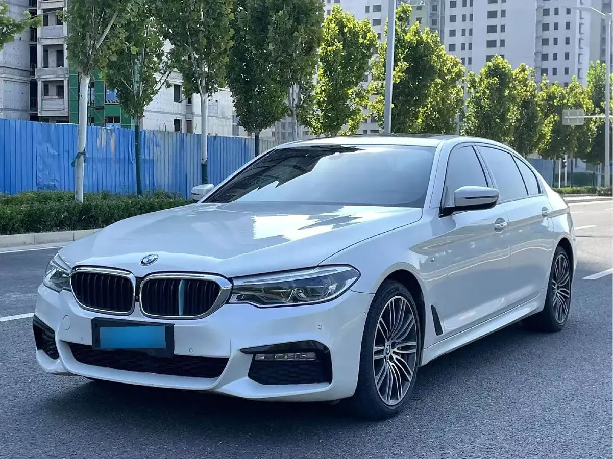 2018 BMW 5 Series 2.0T 252HP L4 8AT