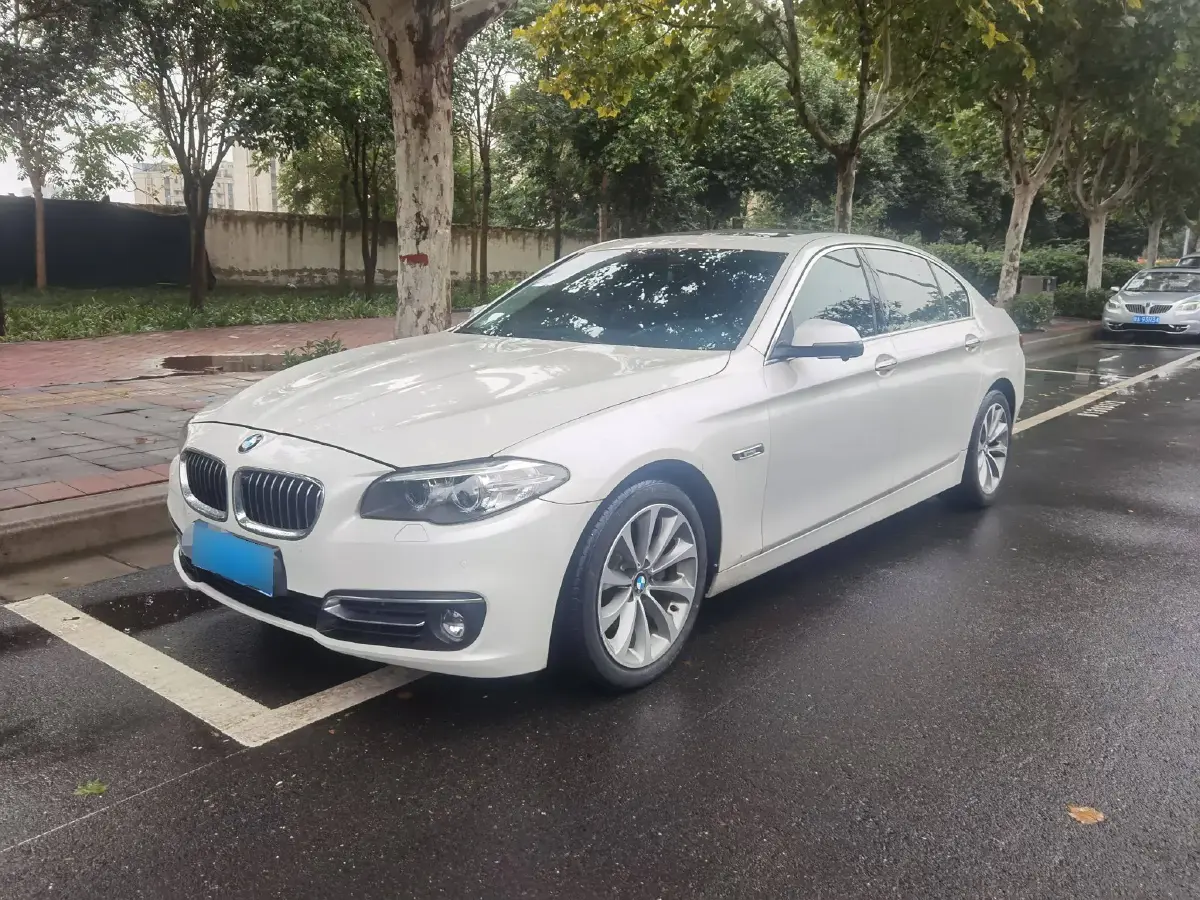 2017 BMW 5 Series 2.0T 218HP L4 8AT