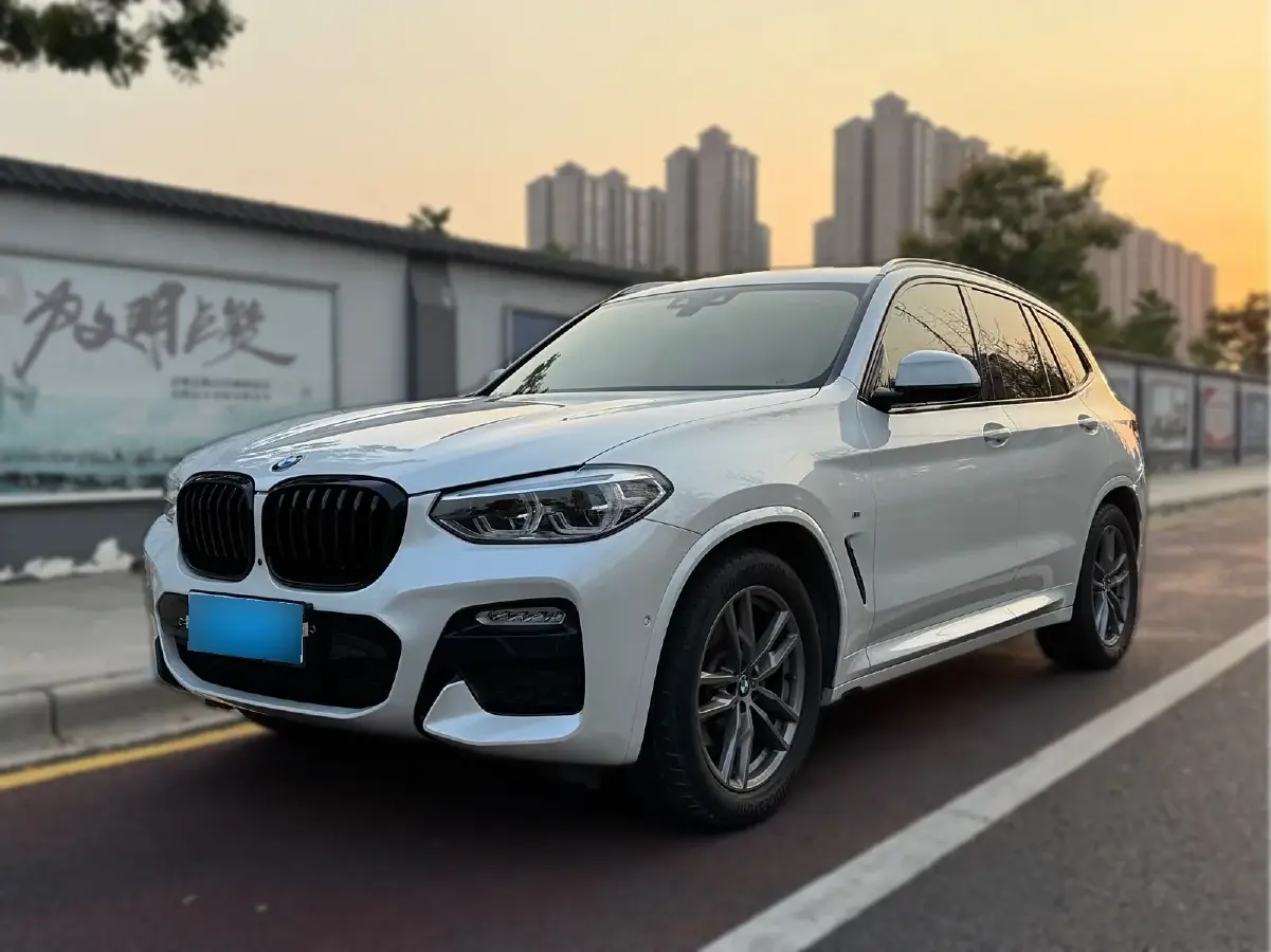 2019 BMW X3 2.0T 224HP L4 8AT