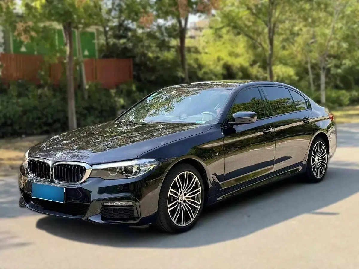 2019 BMW 5 Series 2.0T 252HP L4 8AT