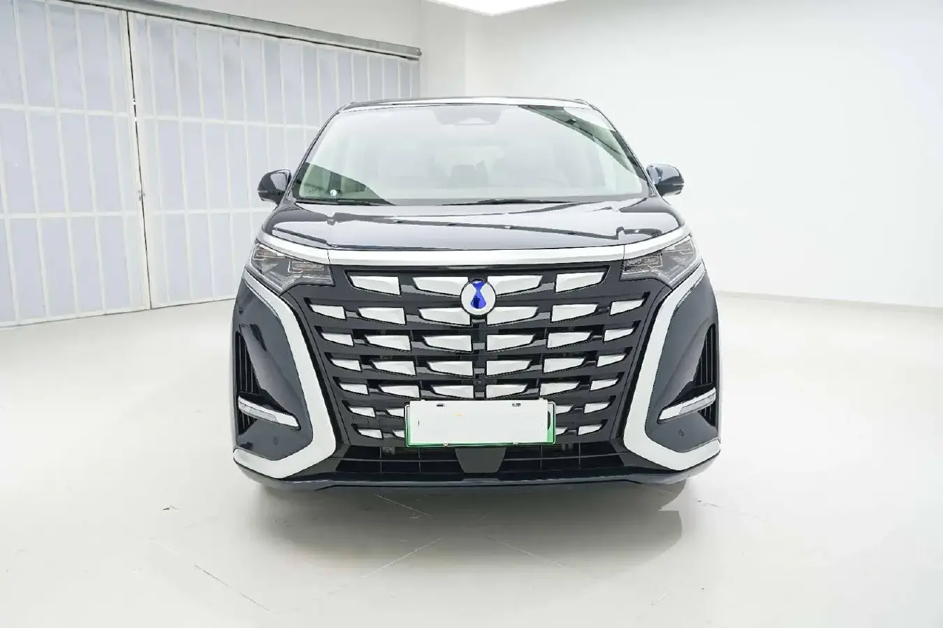 2022 Denza D9 1.5T 139HP L4 E-CVT PHEV 40.06KWH