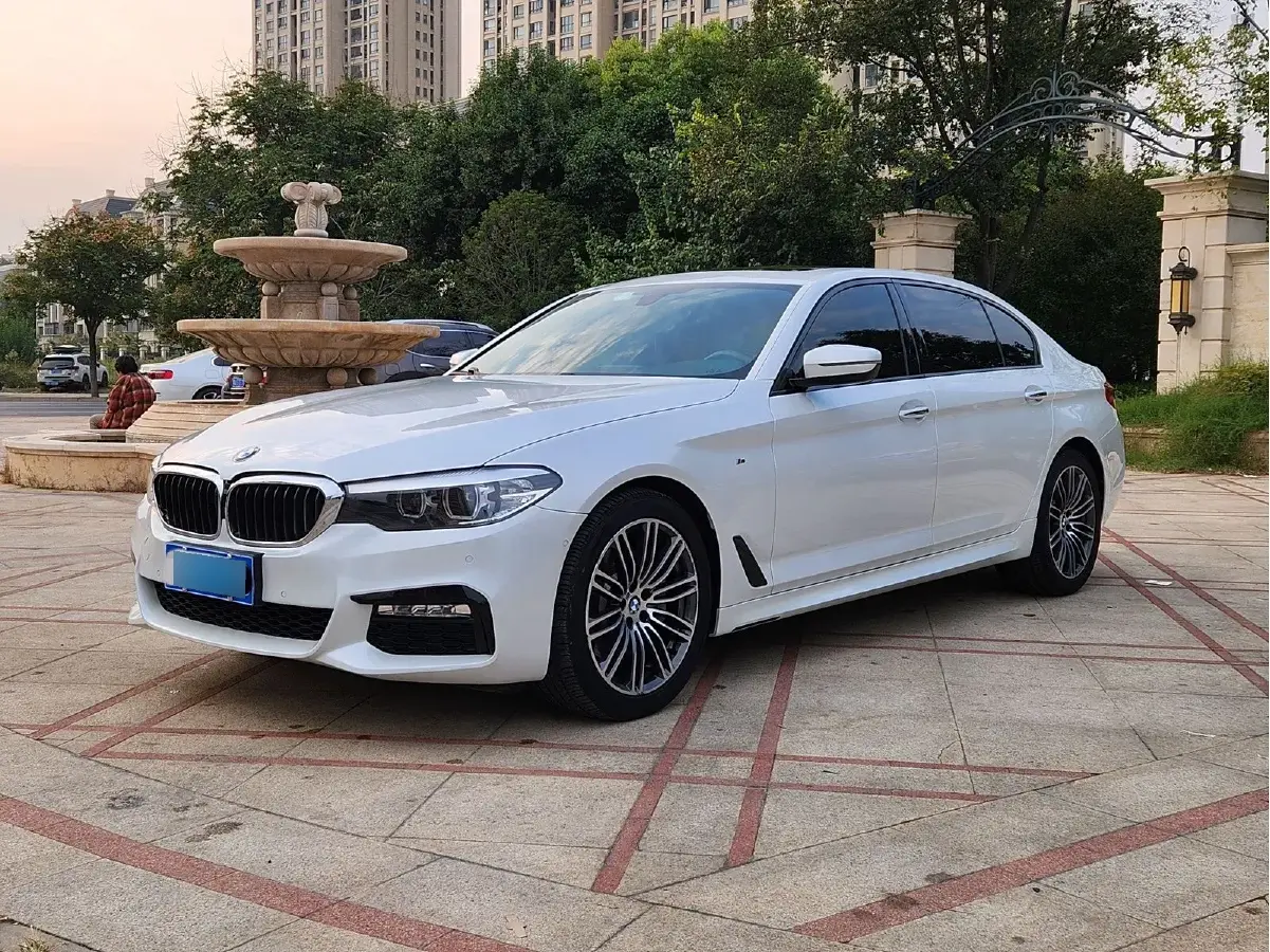 2018 BMW 5 Series 2.0T 252HP L4 8AT