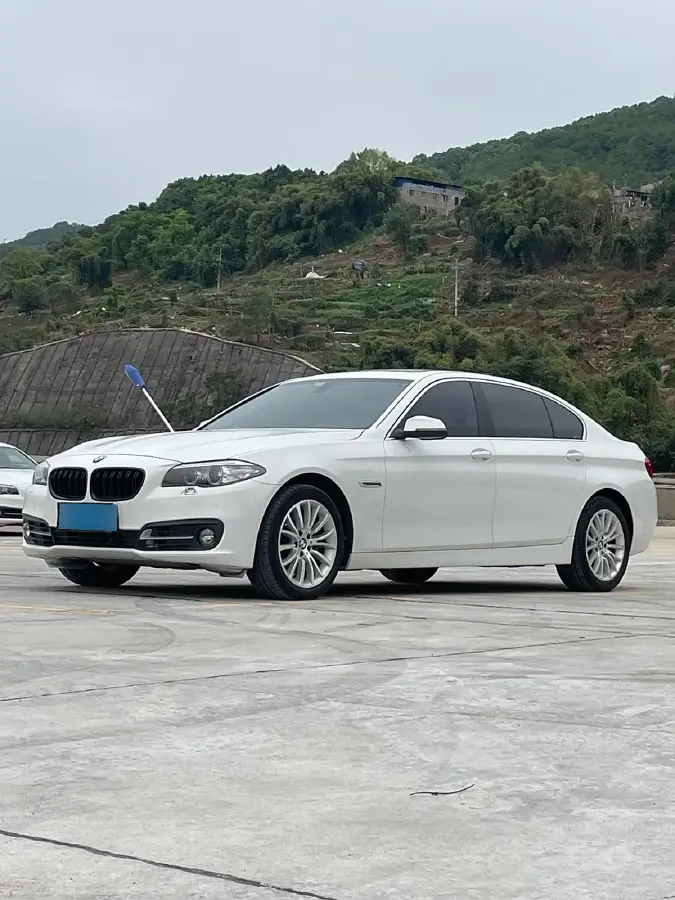 2014 BMW 5 Series 3.0L 258HP L6 8AT