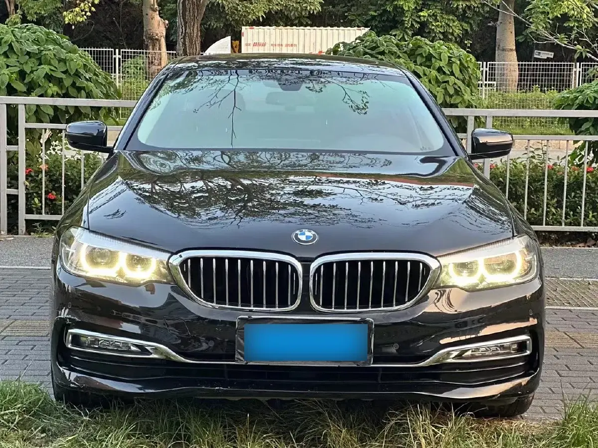 2019 BMW 5 Series 2.0T 252HP L4 8AT