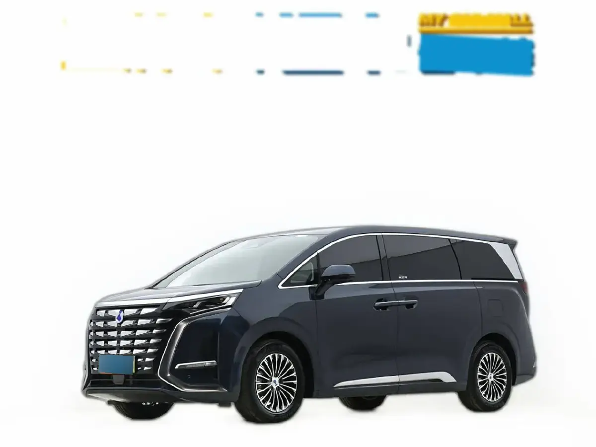 2022 Denza D9 1.5T 139HP L4 E-CVT PHEV 11.06KWH