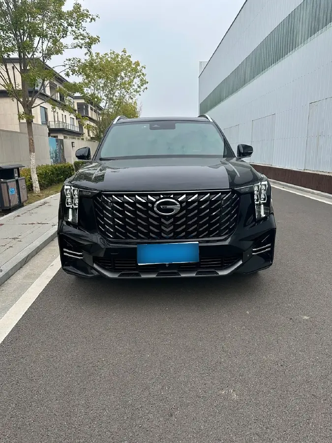 2022 GAC Trumpchi GS8 2.0T 252HP L4 8AT