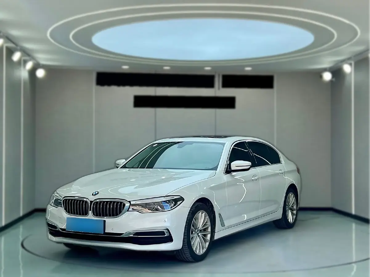 2020 BMW 5 Series 2.0T 252HP L4 8AT