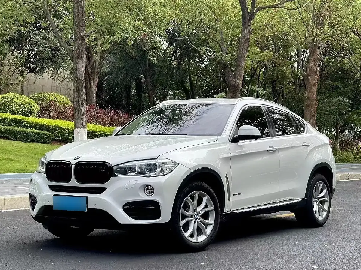 2017 BMW X6 2.0T 245HP L4 8AT