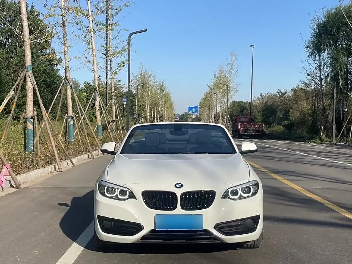 2019 BMW 2 Series 2.0T 184HP L4 8AT