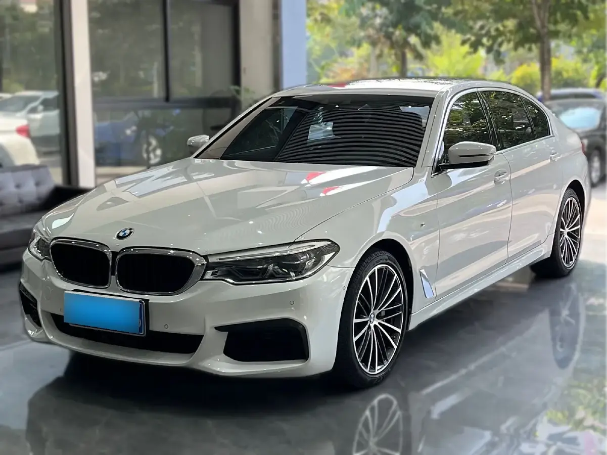 2020 BMW 5 Series 2.0T 252HP L4 8AT