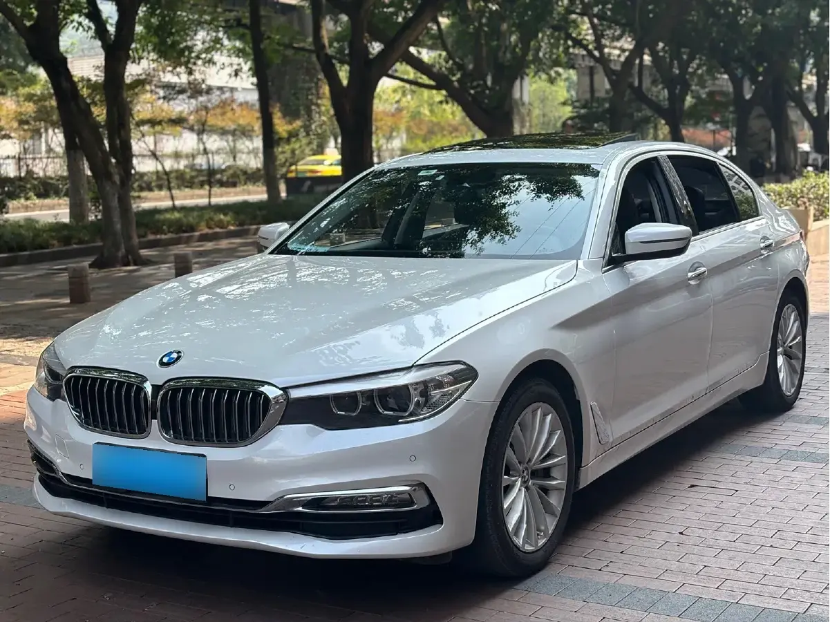 2018 BMW 5 Series 2.0T 252HP L4 8AT