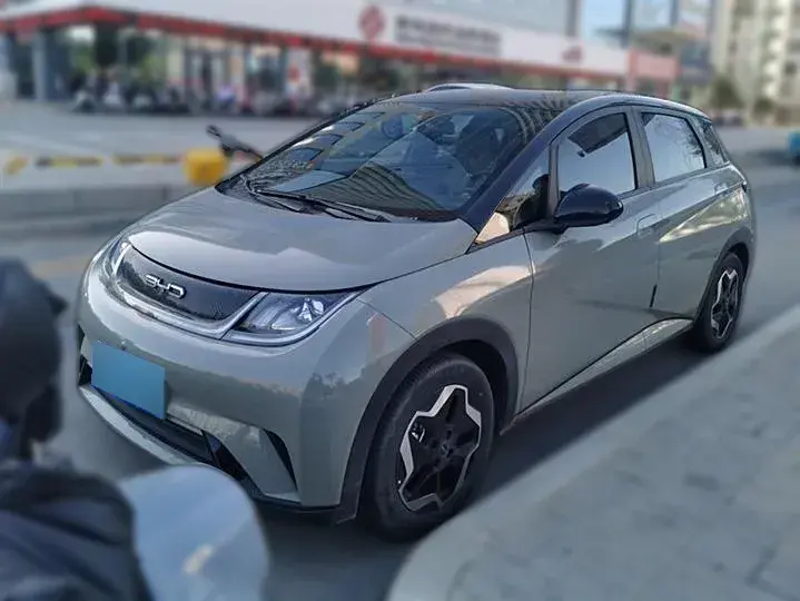 2021 BYD Dolphin BEV 44.9KWH