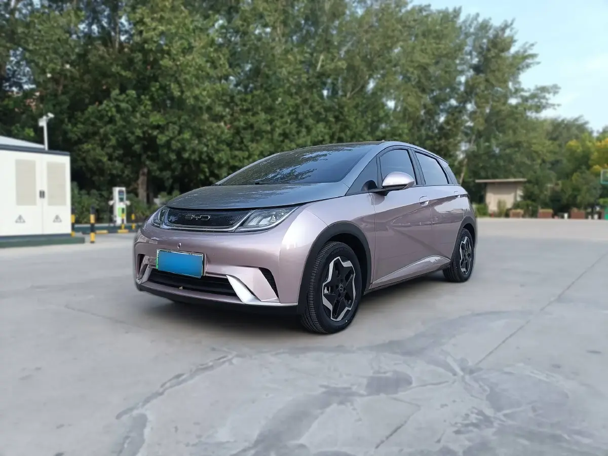 2021 BYD Dolphin BEV 44.9KWH