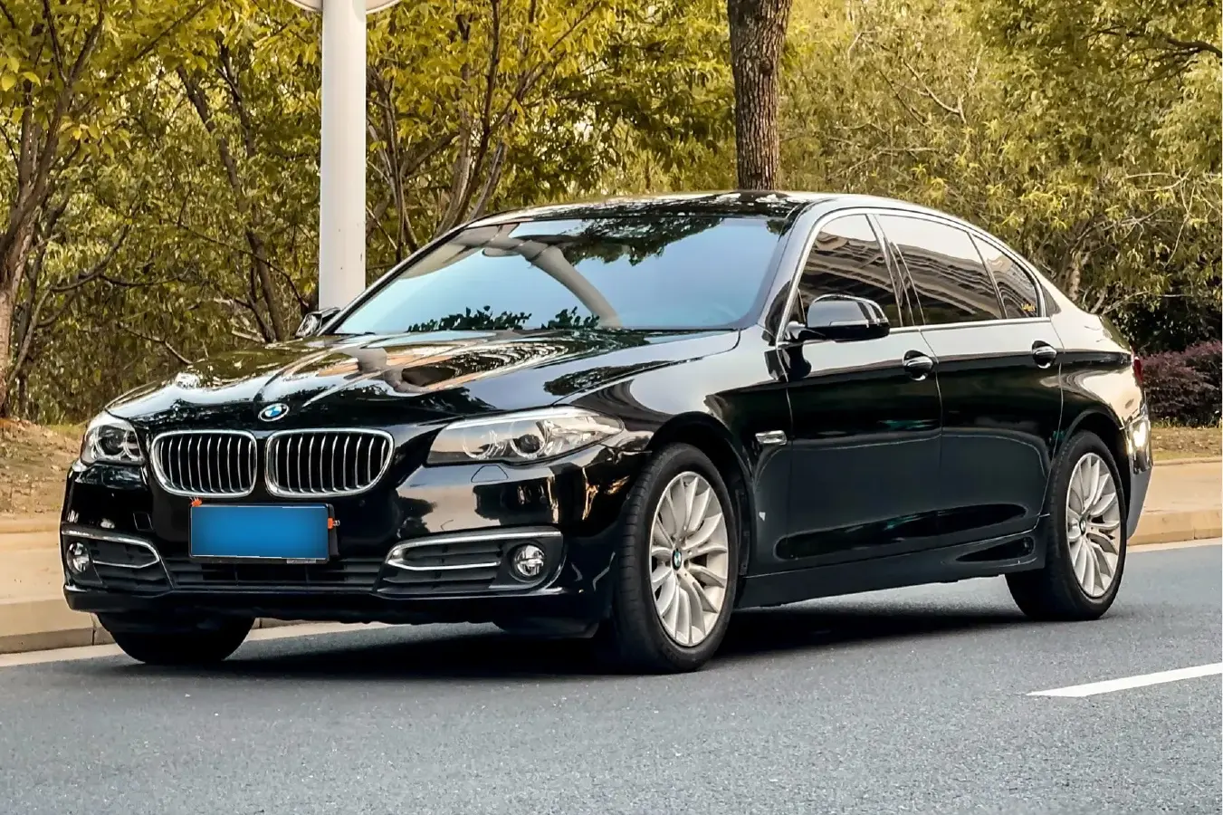 2017 BMW 5 Series 2.0T 218HP L4 8AT