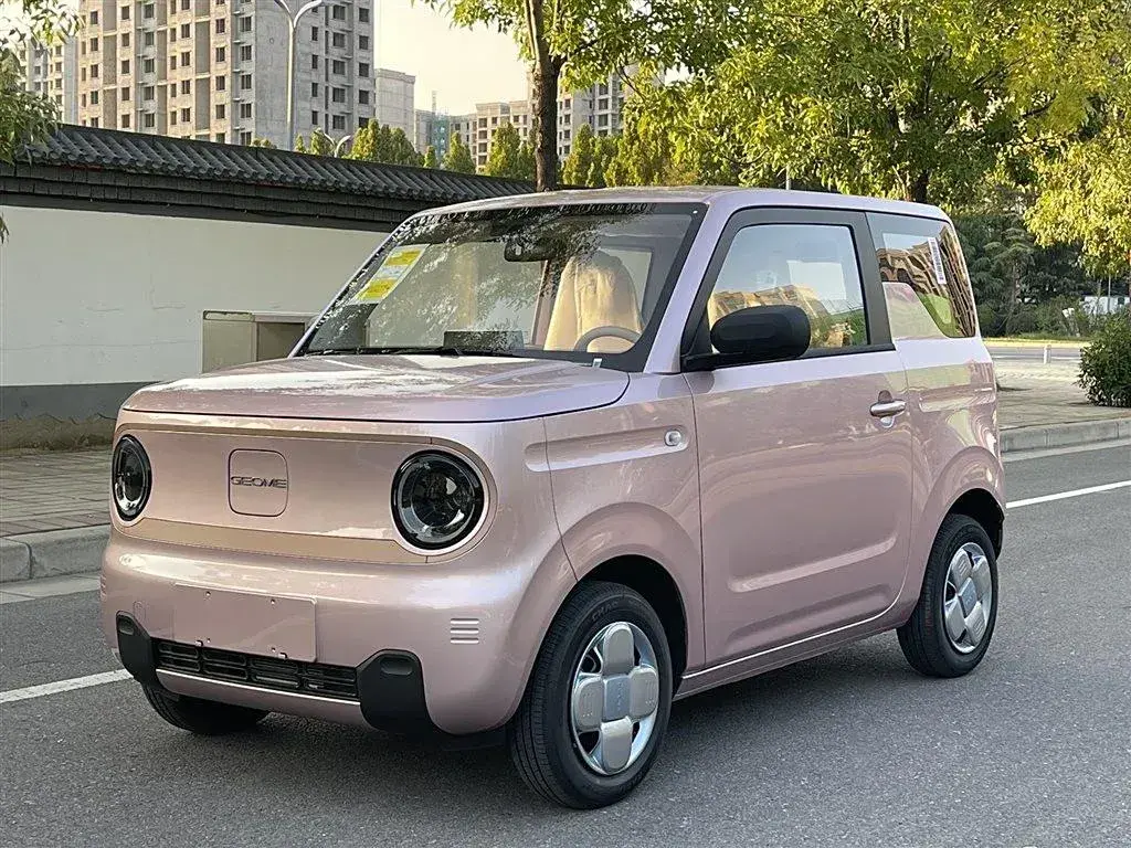 2023 Geely Panda BEV 17.03KWH