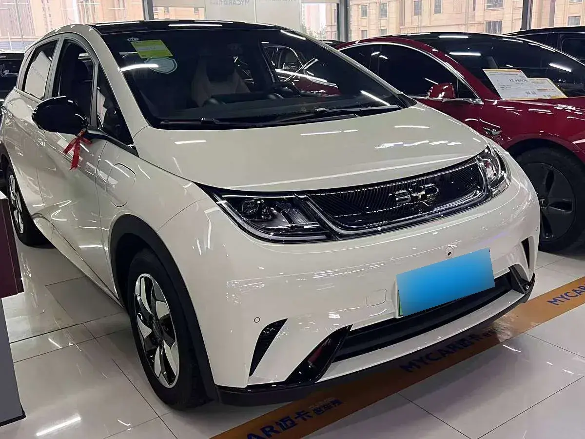 2024 BYD Dolphin BEV 44.928KWH