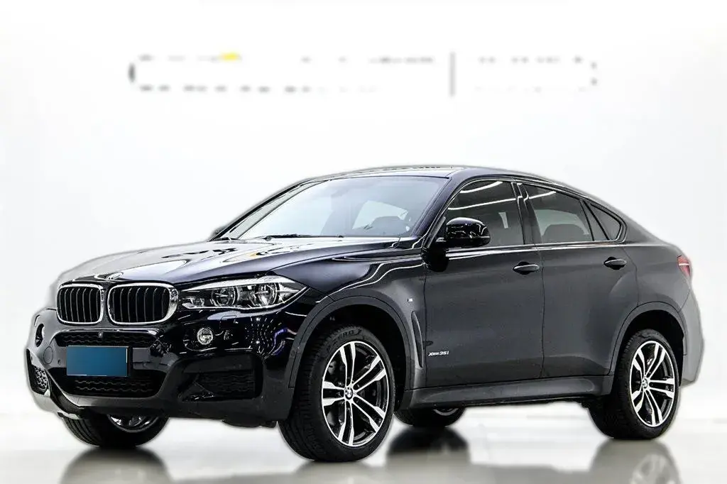 2019 BMW X6 3.0T 306HP L6 8AT
