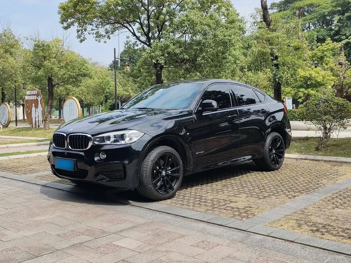 2019 BMW X6 3.0T 306HP L6 8AT