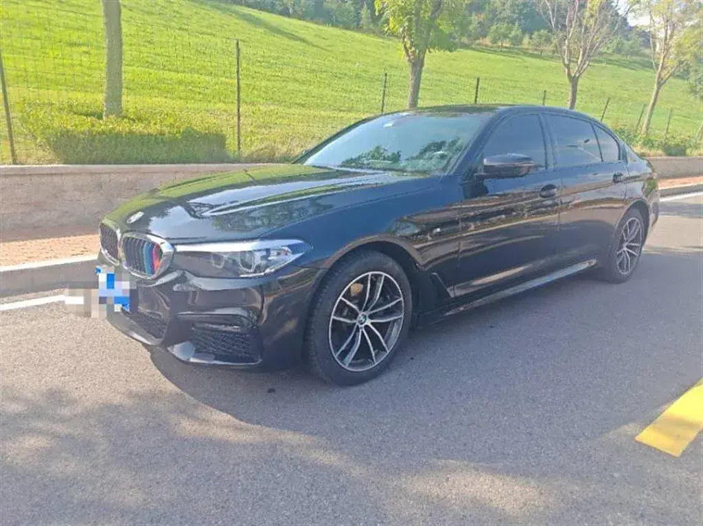 2019 BMW 5 Series 2.0T 184HP L4 8AT