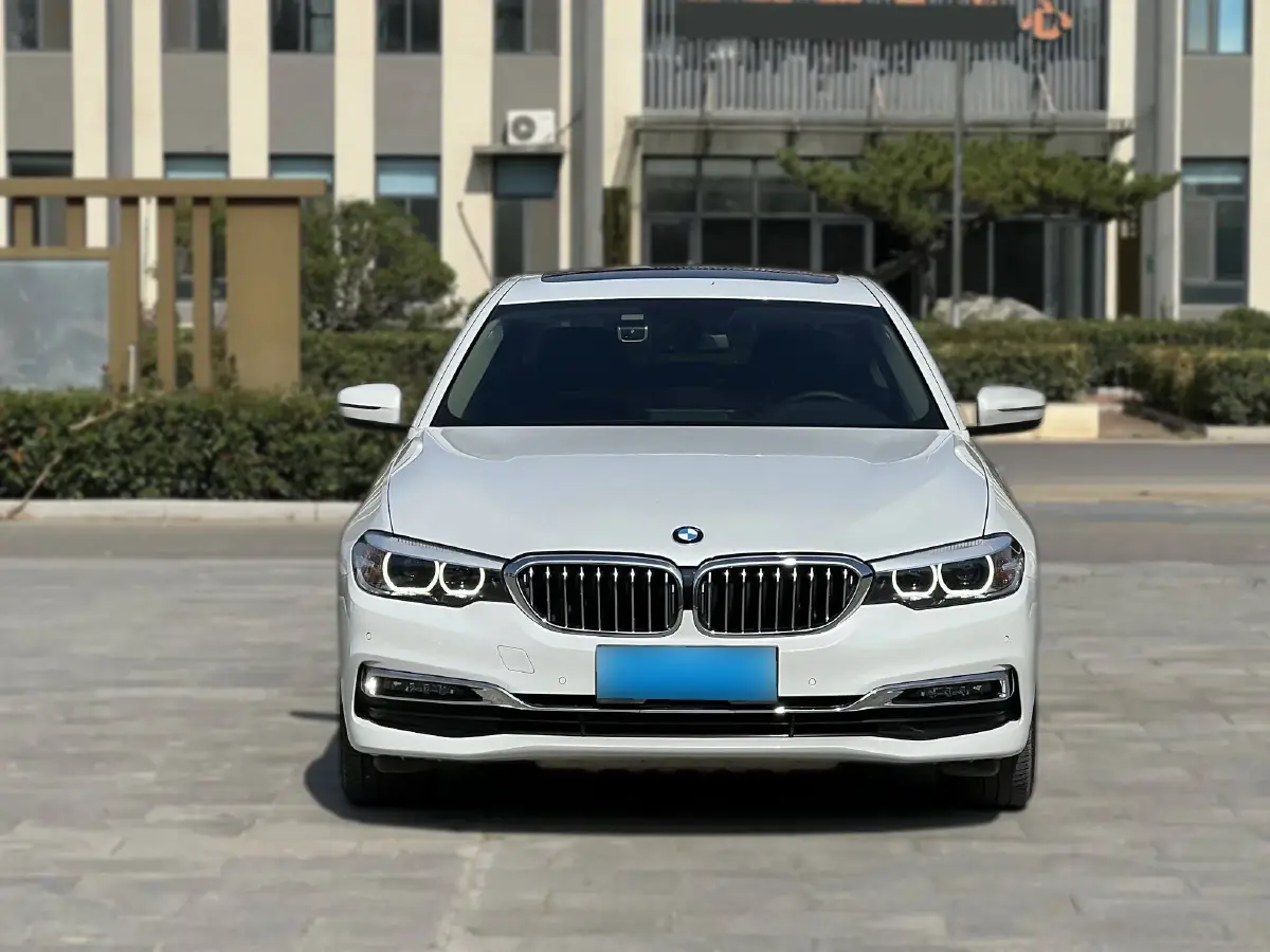 2019 BMW 5 Series 2.0T 252HP L4 8AT