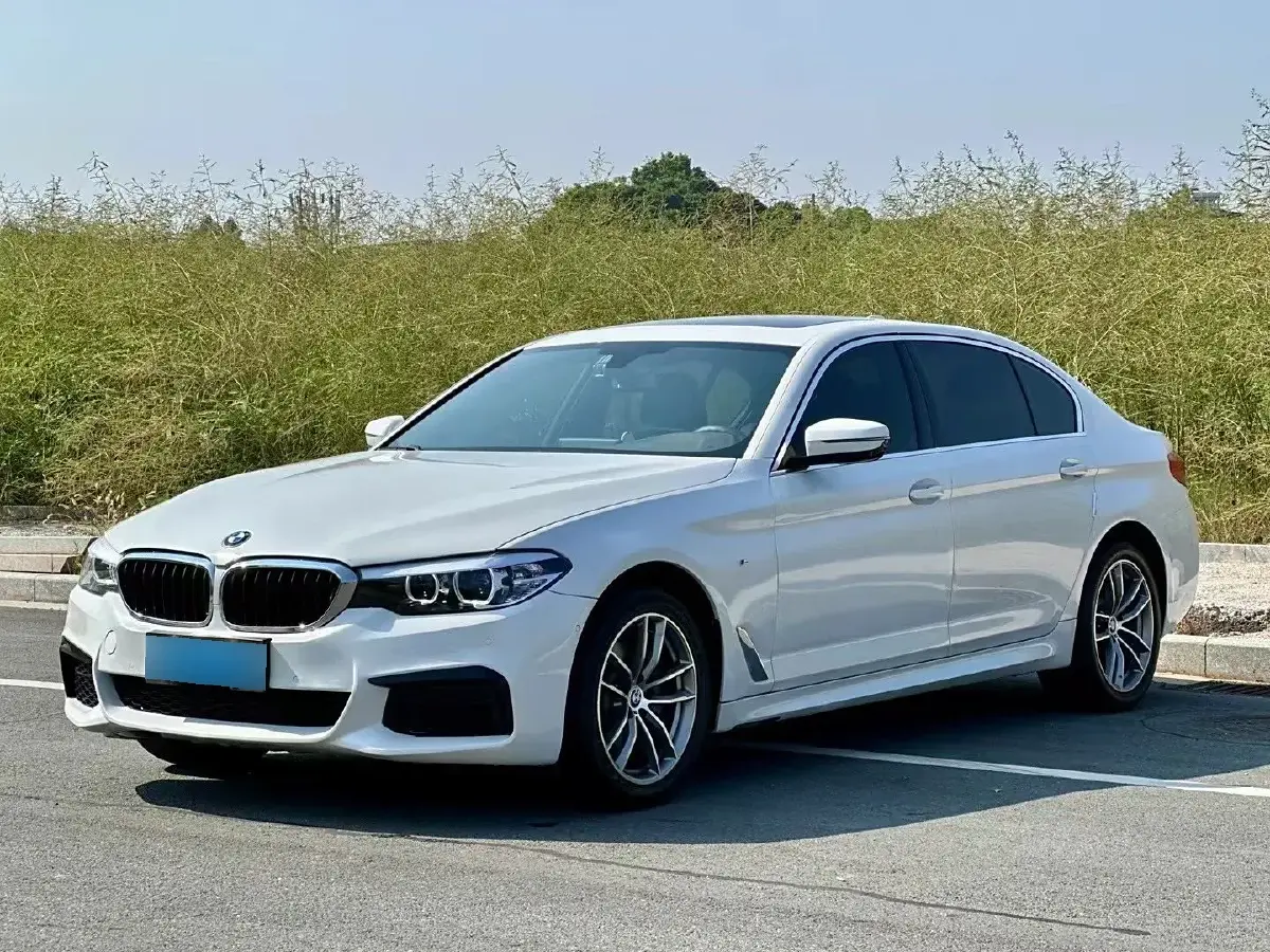 2020 BMW 5 Series 2.0T 184HP L4 8AT