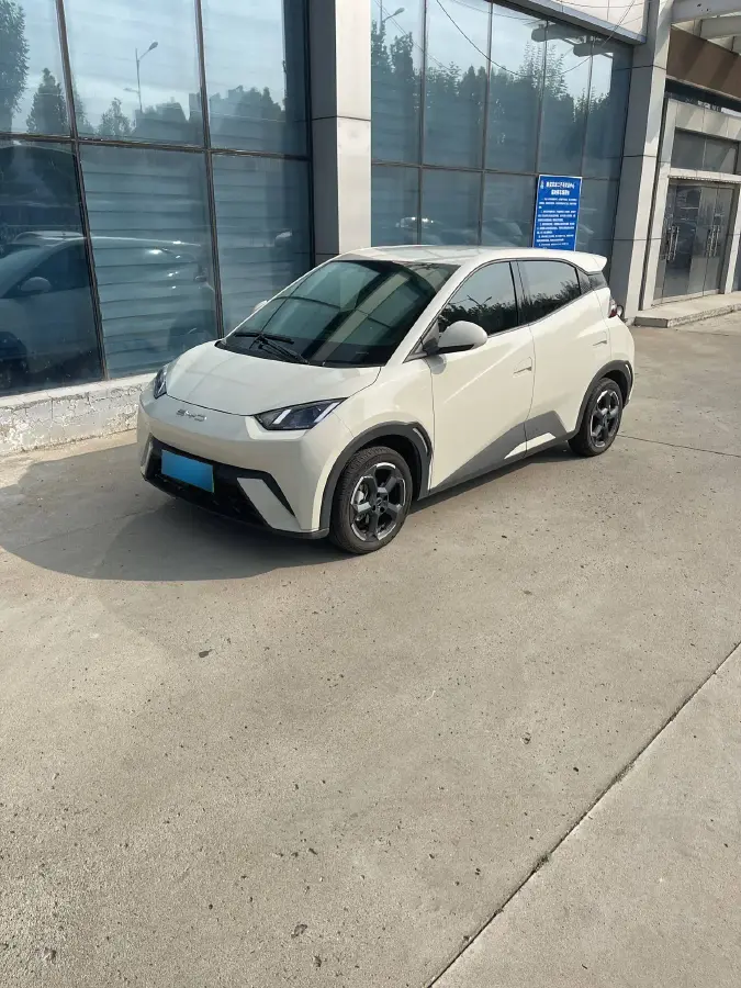 2024 BYD Seagull BEV 30.08KWH