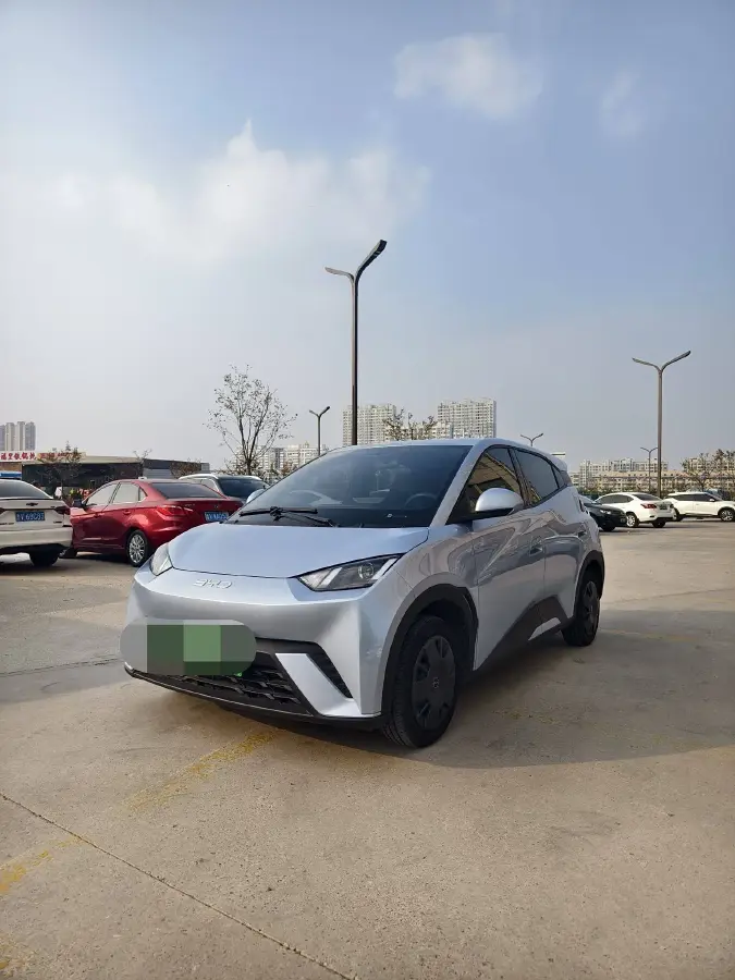 2024 BYD Seagull BEV 30.08KWH