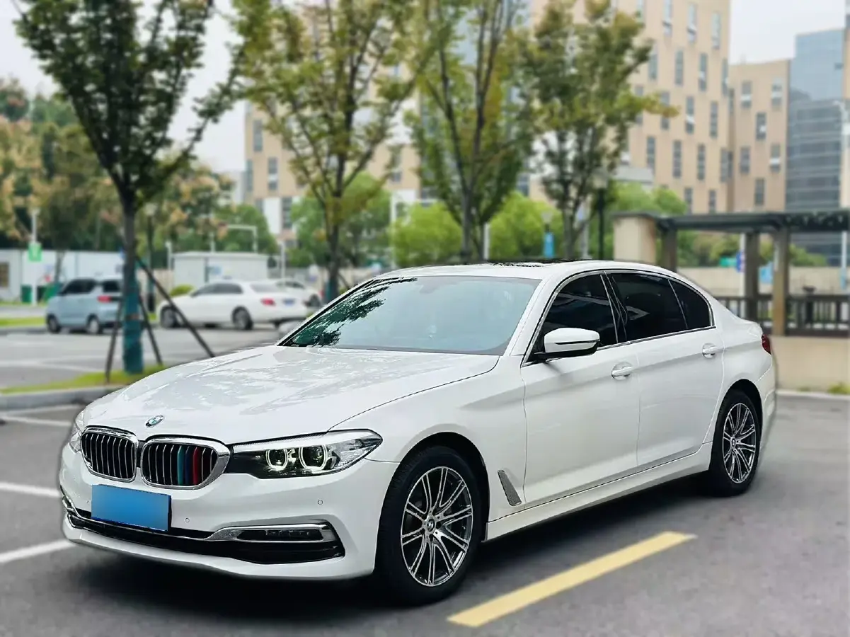 2019 BMW 5 Series 2.0T 252HP L4 8AT