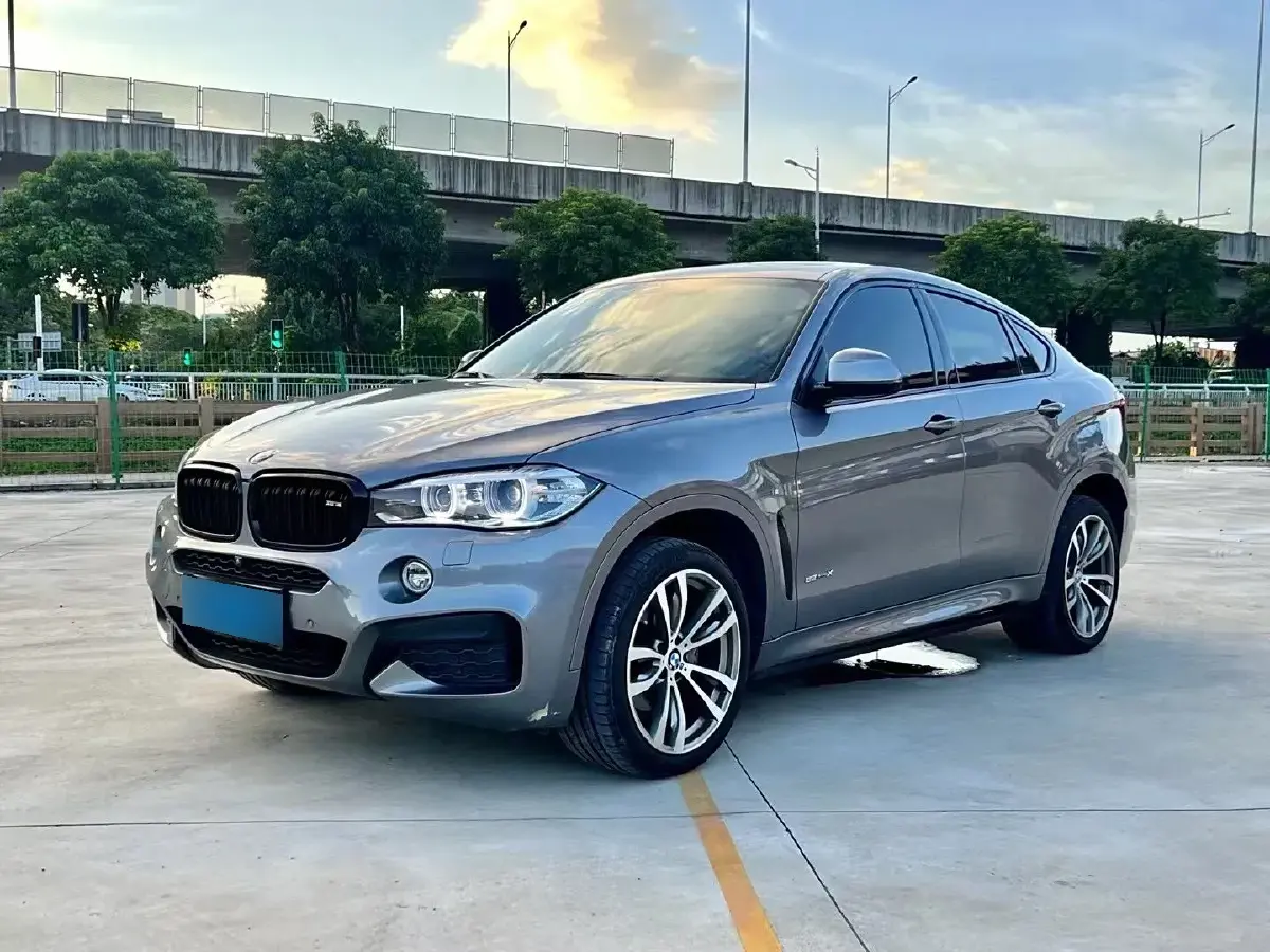 2019 BMW X6 2.0T 245HP L4 8AT