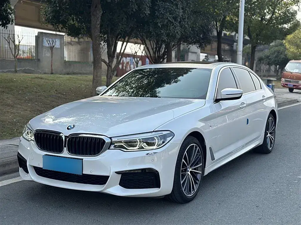 2020 BMW 5 Series 2.0T 252HP L4 8AT