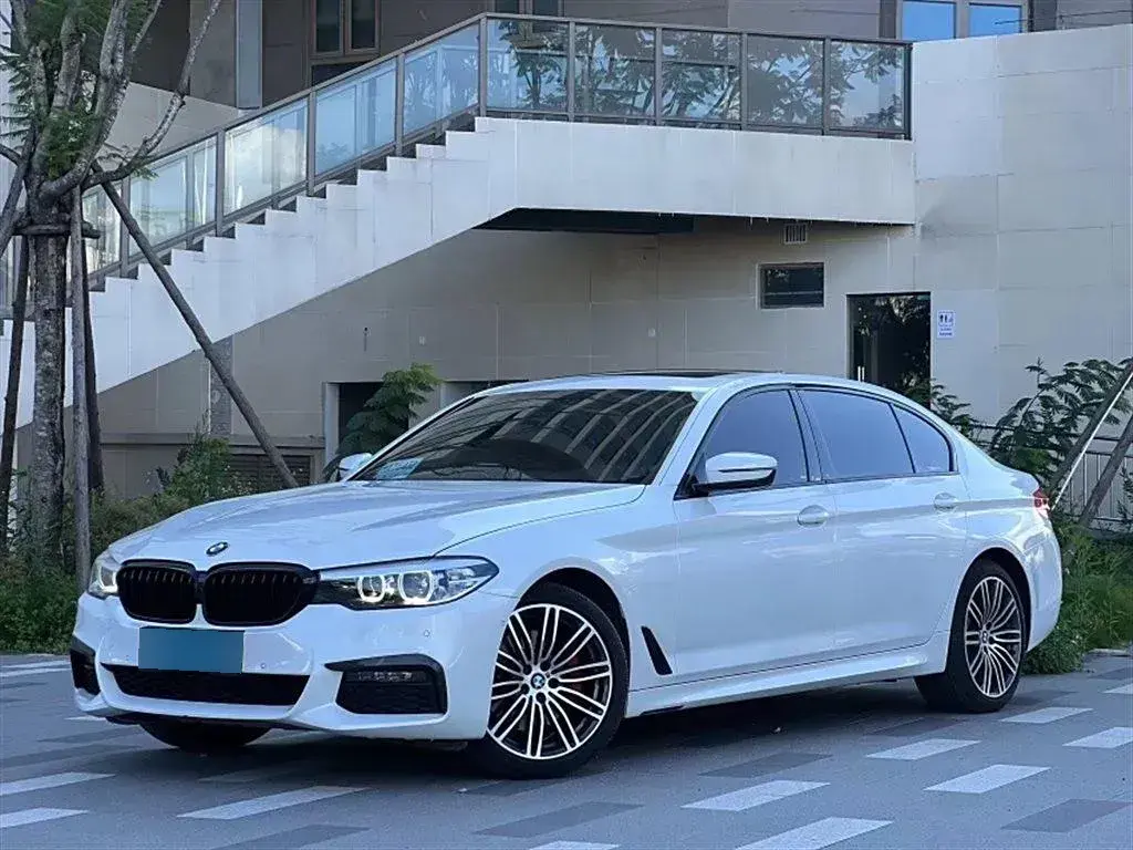 2019 BMW 5 Series 2.0T 252HP L4 8AT
