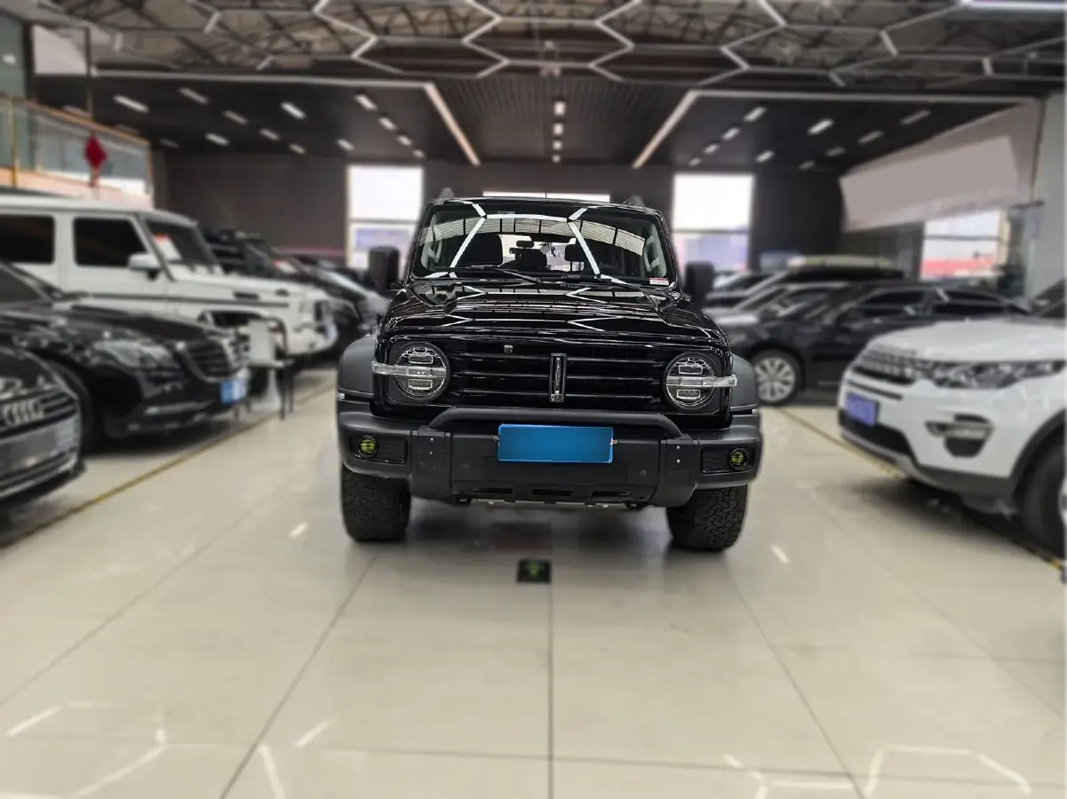 2021 Tank 300 2.0T 227HP L4 8AT