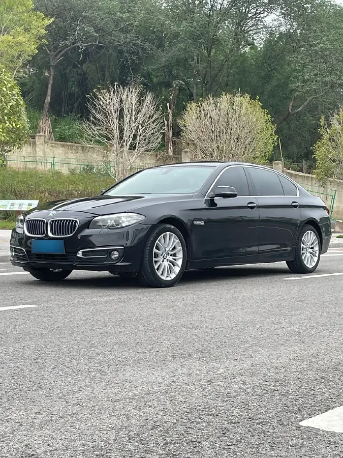 2017 BMW 5 Series 2.0T 218HP L4 8AT