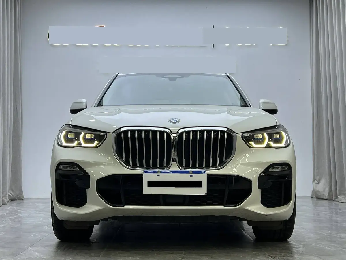 2019 BMW X5 3.0T 340HP L6 8AT