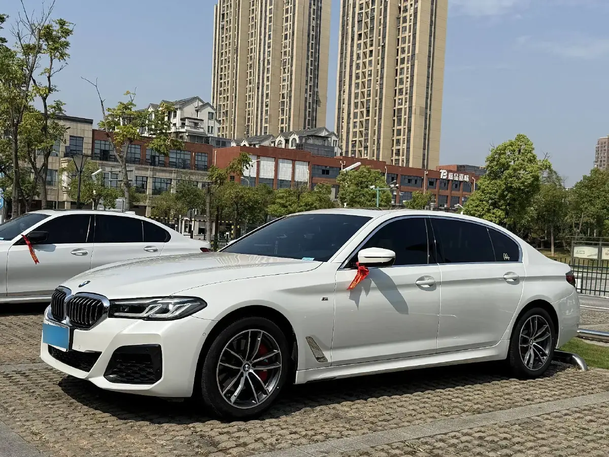 2021 BMW 5 Series 2.0T 184HP L4 8AT