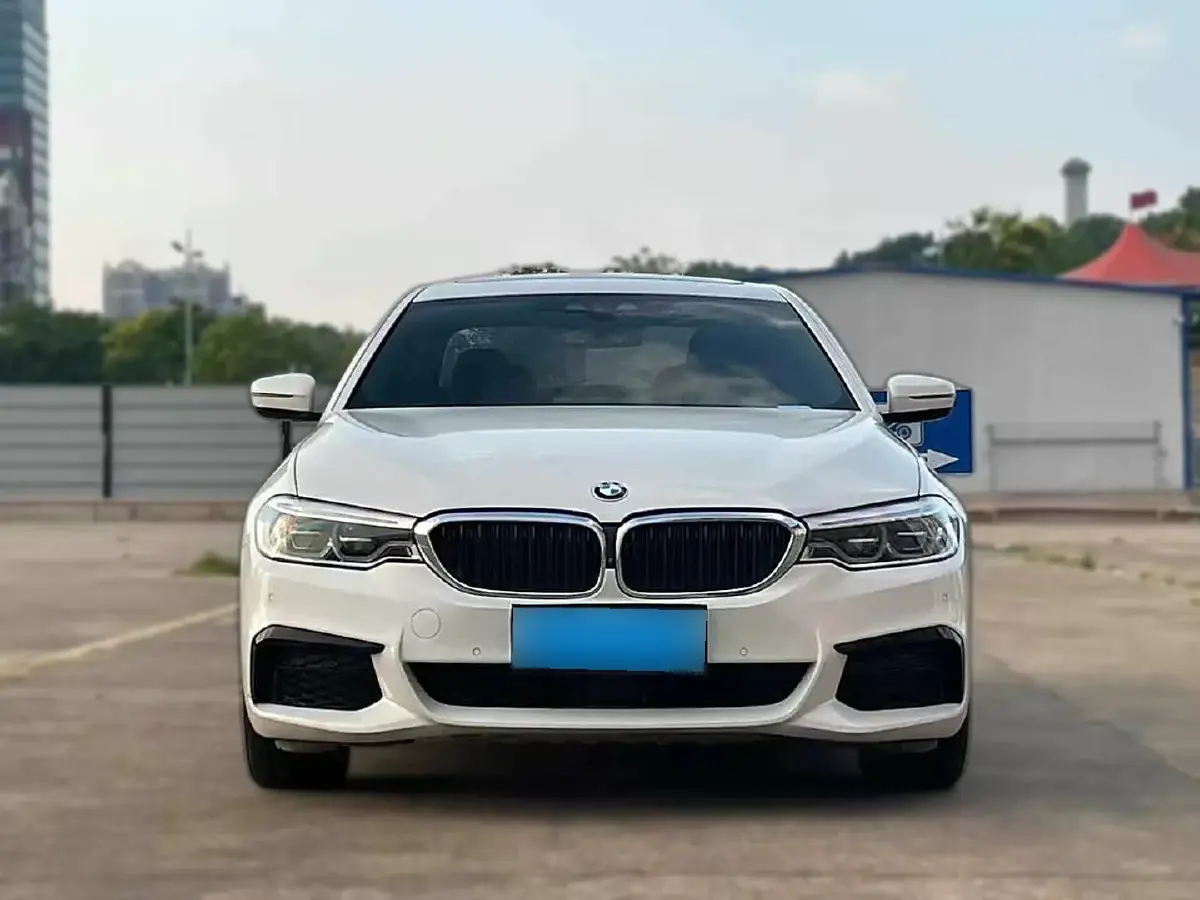 2019 BMW 5 Series 2.0T 252HP L4 8AT