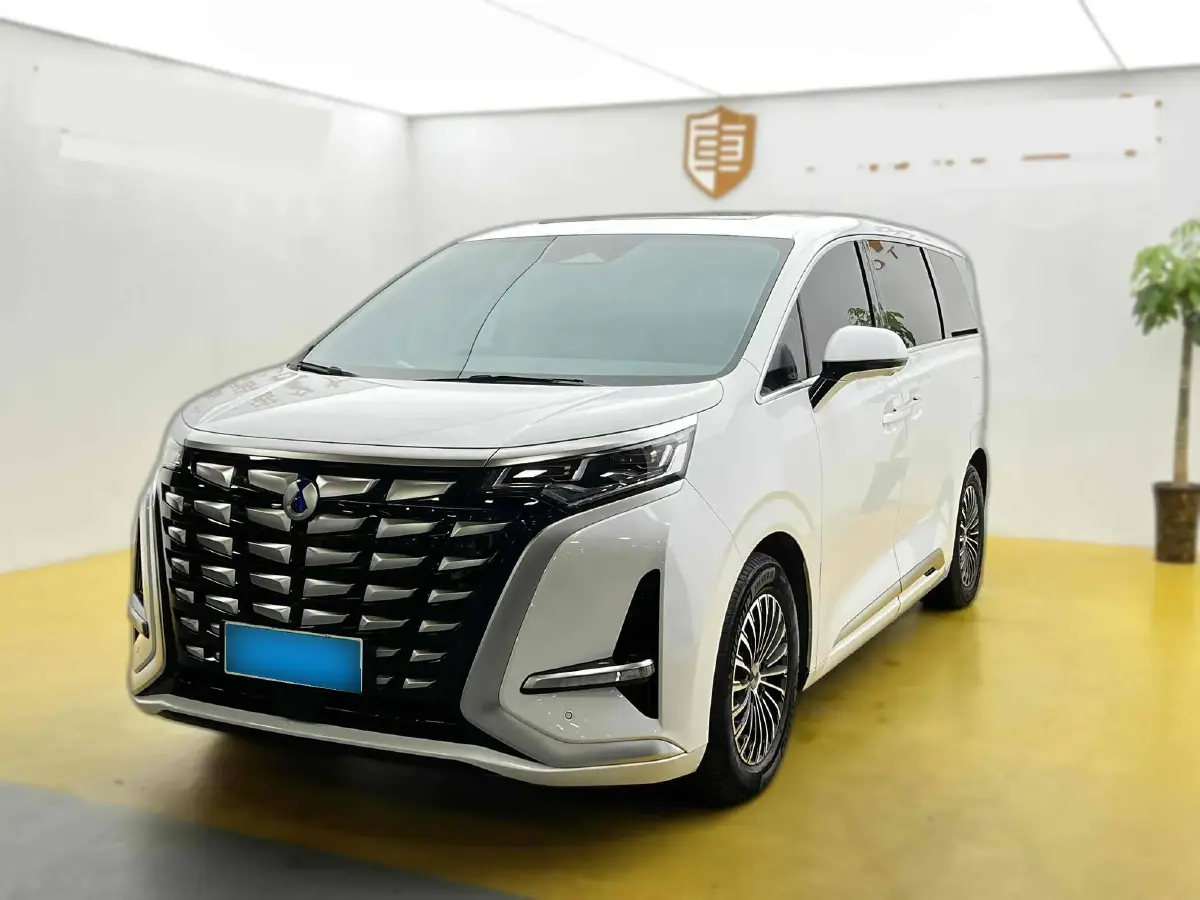 2022 Denza D9 1.5T 139HP L4 E-CVT PHEV 11.06KWH