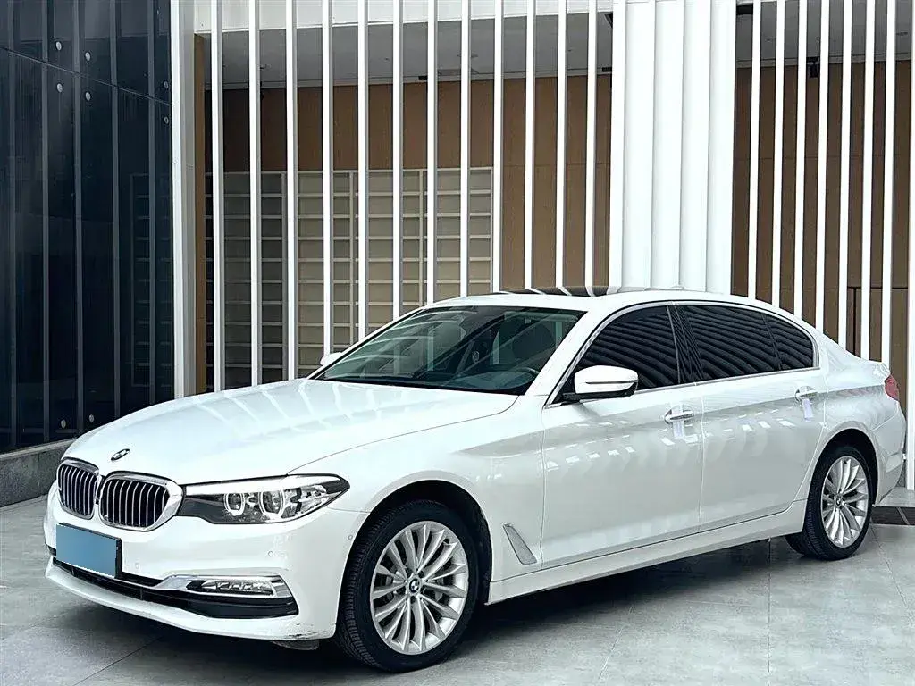 2019 BMW 5 Series 2.0T 252HP L4 8AT