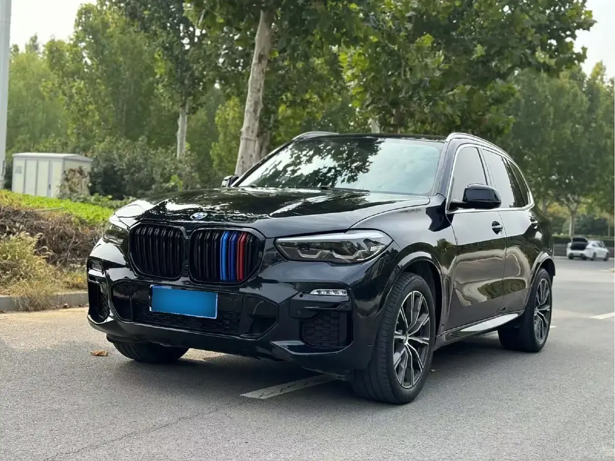 2019 BMW X5 2.0T 265HP L4 8AT