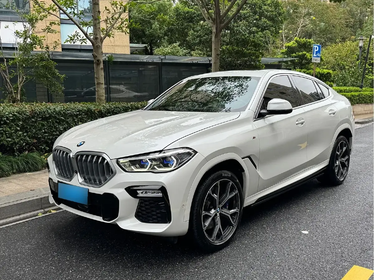 2020 BMW X6 3.0T 340HP L6 8AT