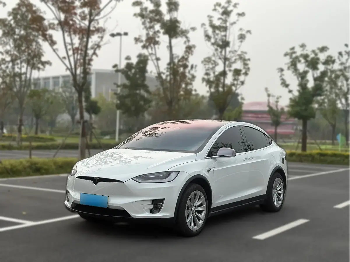 2020 Tesla Model X BEV 100KWH