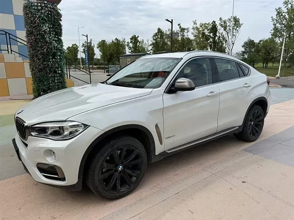 2018 BMW X6 3.0T 306HP L6 8AT