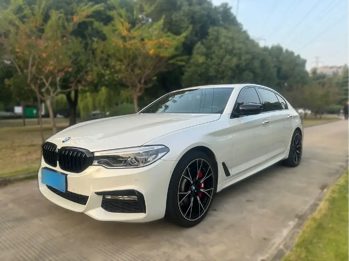 2018 BMW 5 Series 2.0T 252HP L4 8AT
