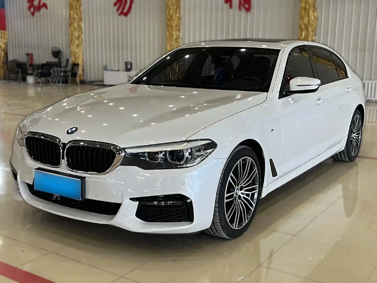 2019 BMW 5 Series 2.0T 252HP L4 8AT