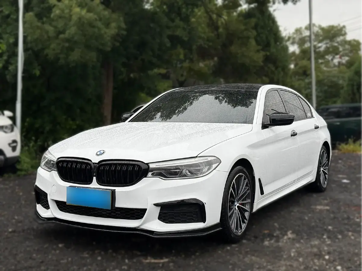 2020 BMW 5 Series 2.0T 252HP L4 8AT