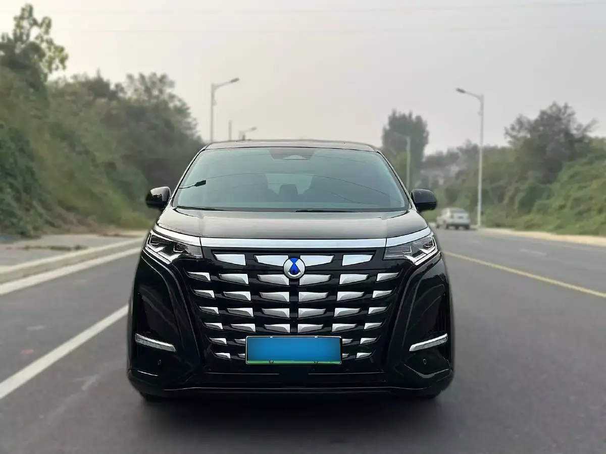 2022 Denza D9 1.5T 139HP L4 E-CVT PHEV 40.06KWH