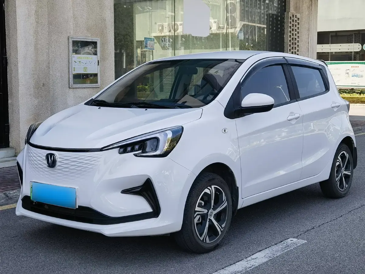 2022 ChangAn BenBen E-Star BEV 31.95KWH
