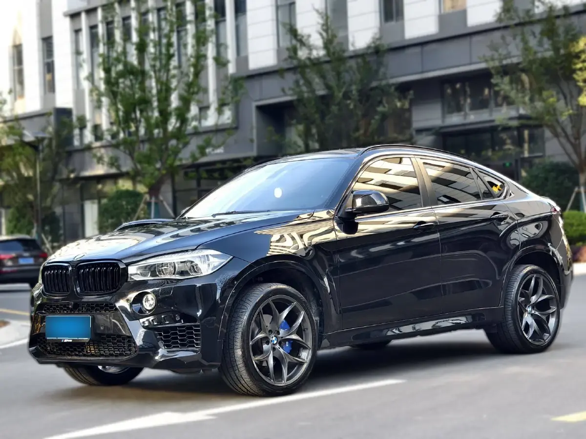 2015 BMW X6 3.0T 306HP L6 8AT