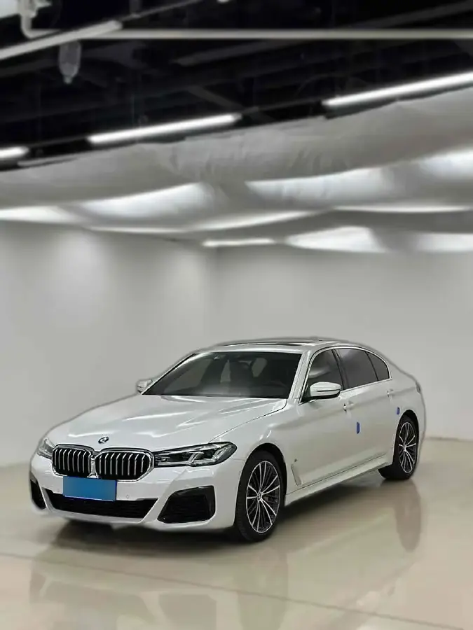 2020 BMW 5 Series 2.0T 252HP L4 8AT