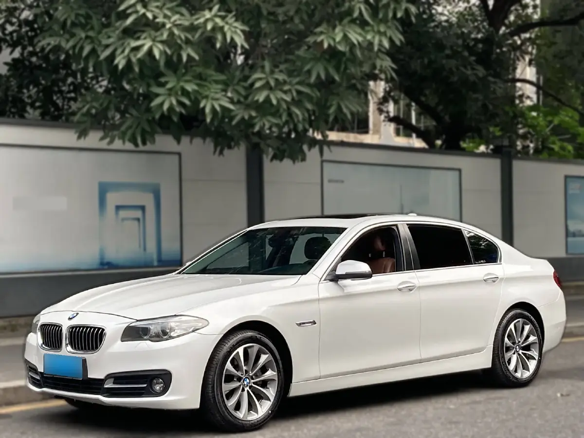 2017 BMW 5 Series 2.0T 218HP L4 8AT